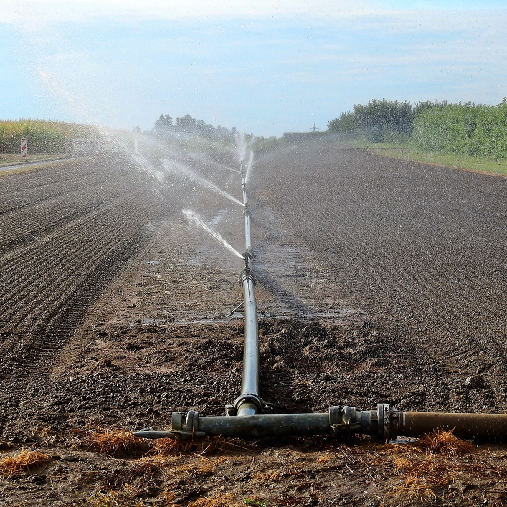 Agricultural irrigation and landscaping project